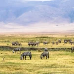 Discover 10 Unforgettable Secrets of Ngorongoro Crater