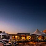 Top 10 Luxury Africa Safari Packages You Can’t Miss