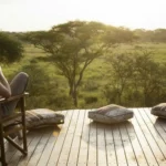 Frequently Asked Questions About Tanzania Safaris: Your Ultimate Guide