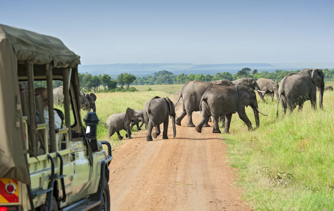 Why September is the Perfect Time for African Safari Adventures